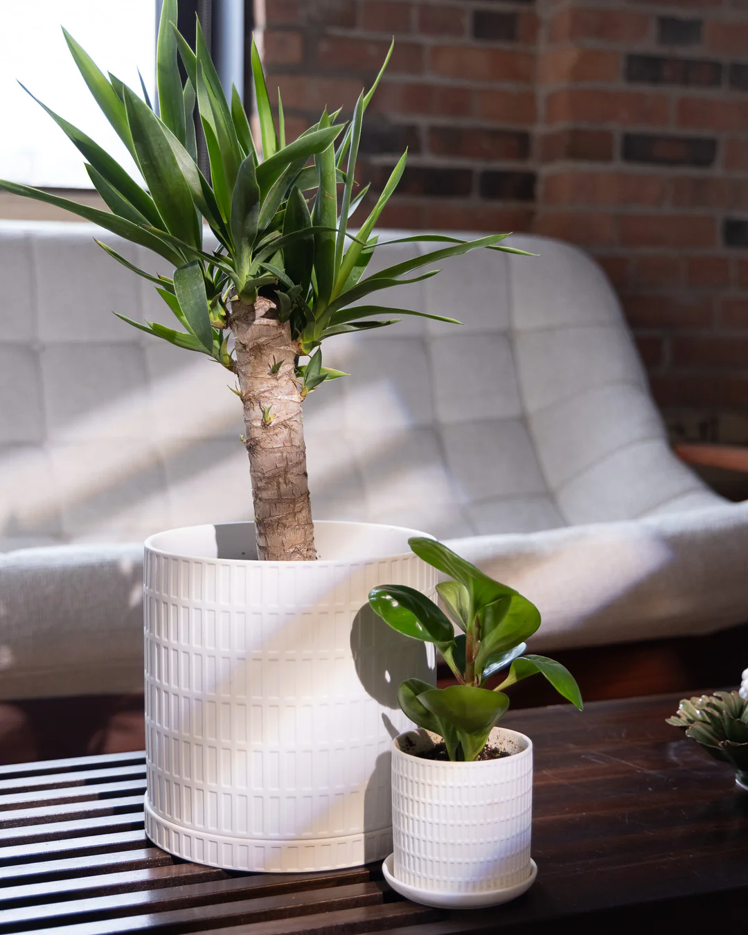 Artisan Ceramics for Modern Spaces